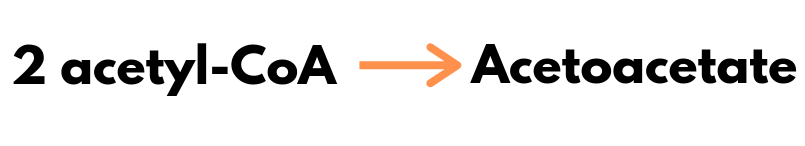 2 acetyl-CoA molecules to acetoacetate